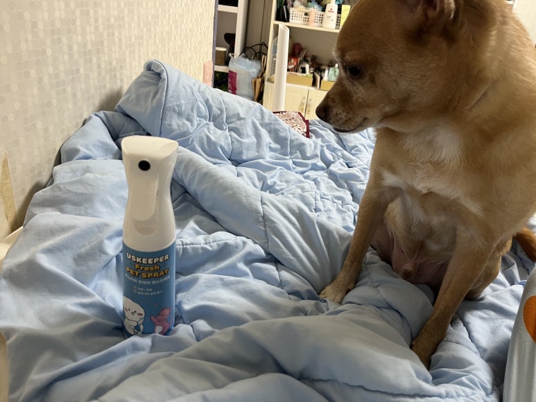펫키퍼 이미지