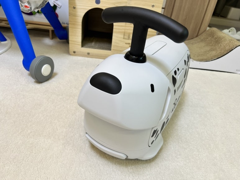 마루제이 이미지