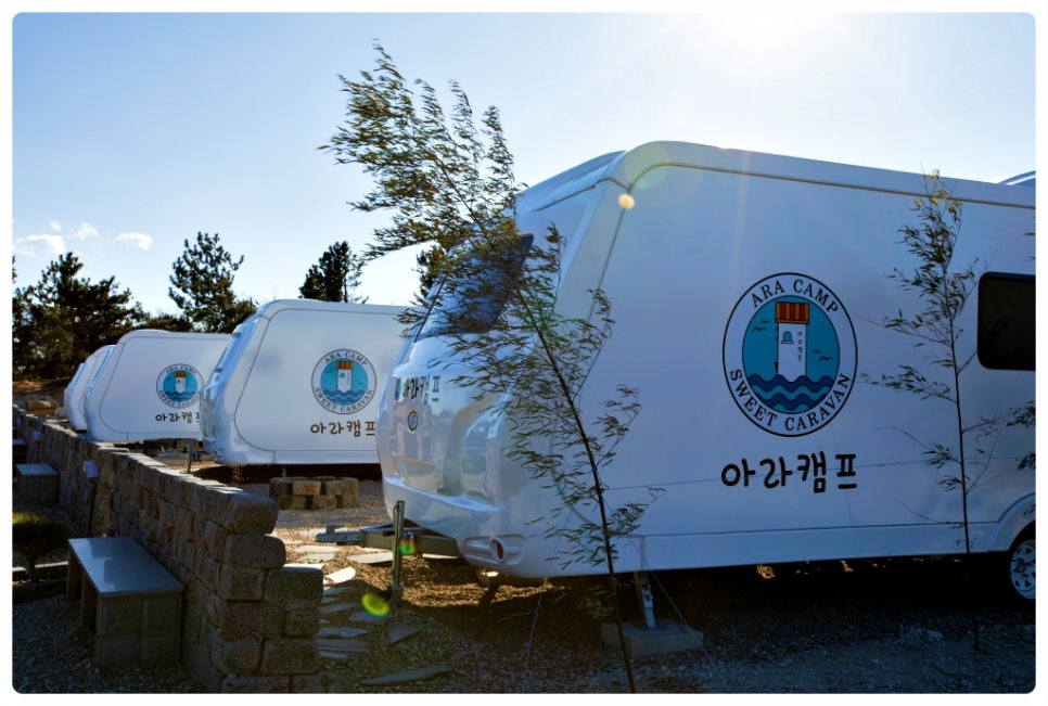 아라캠프 이미지