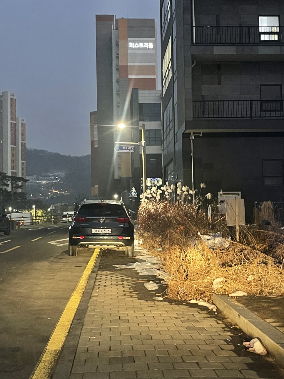 레푸스전주 이미지