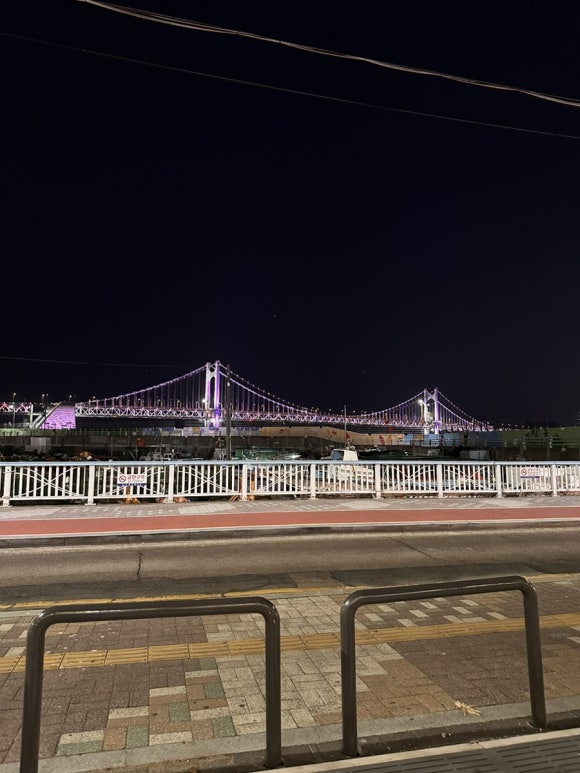 핏짜피자 이미지