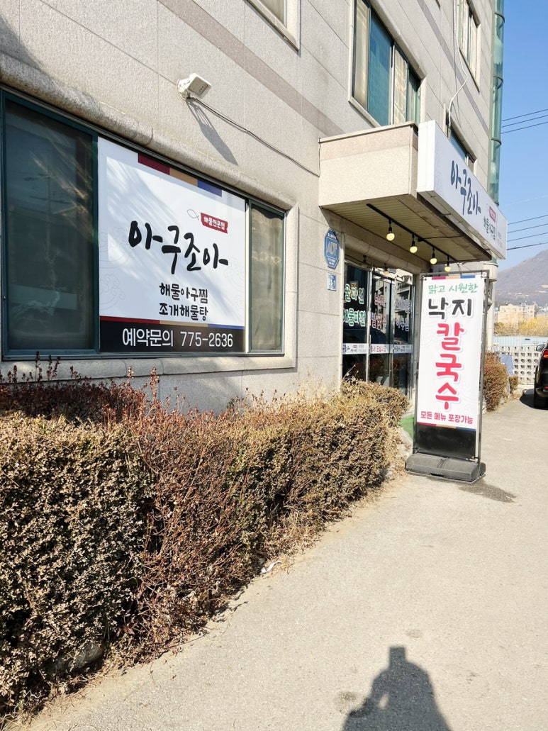 아구조아 이미지