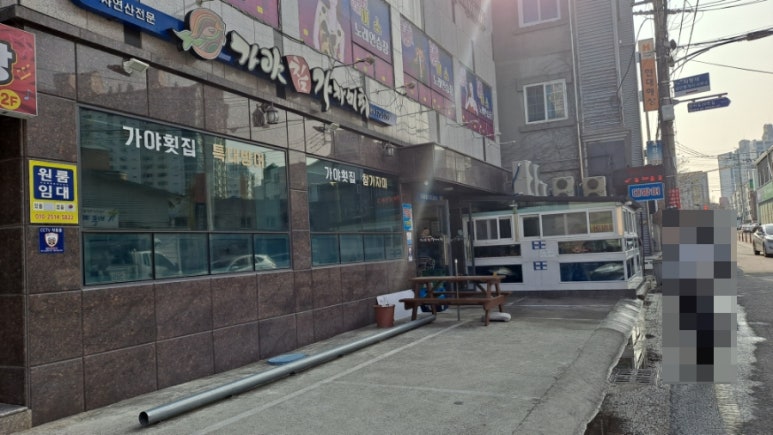 가야참가자미회 이미지