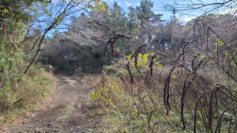 주식회사 태우 이미지