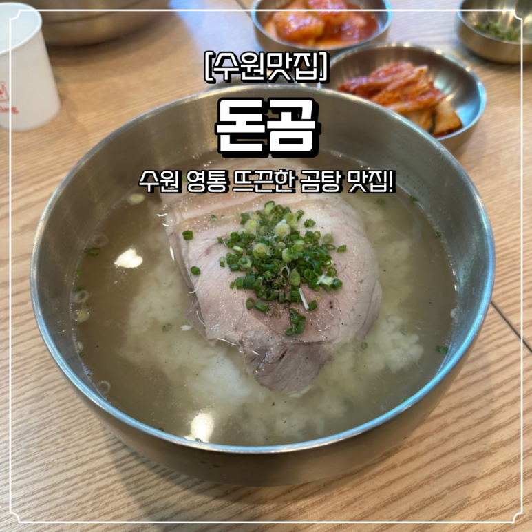 돈곰 이미지