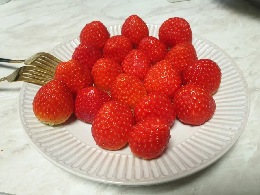 새해반점 이미지