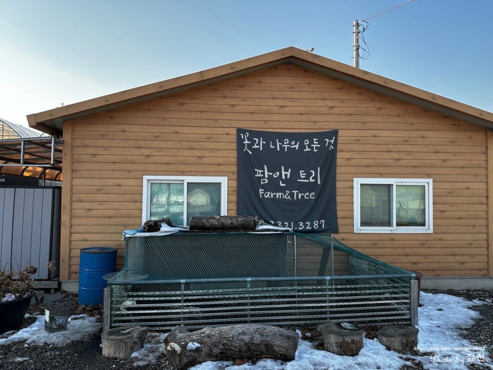 트리앤팜 이미지