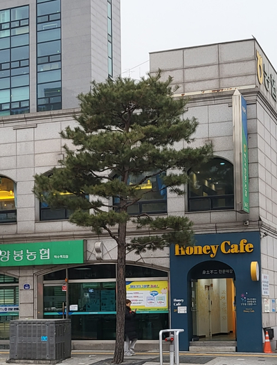 네츄럴100허니카페 이미지