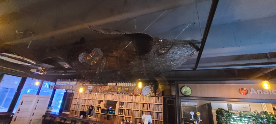 뮤직펍(pub) 이미지