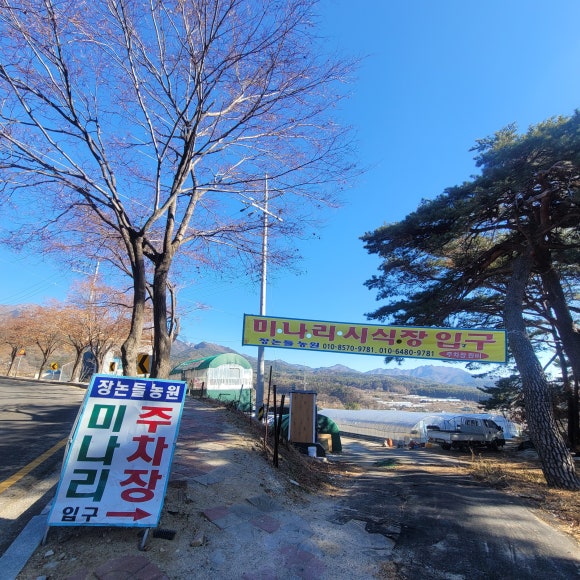 대구난농원 이미지
