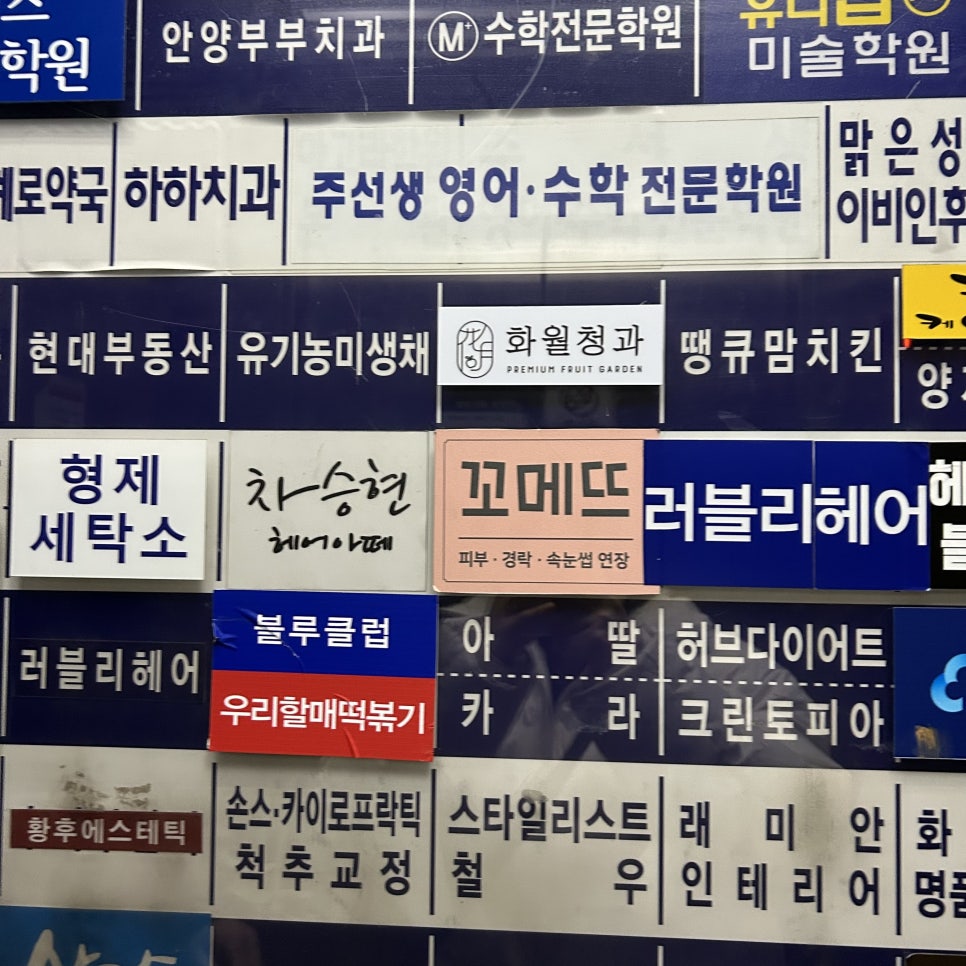 비산청과 이미지