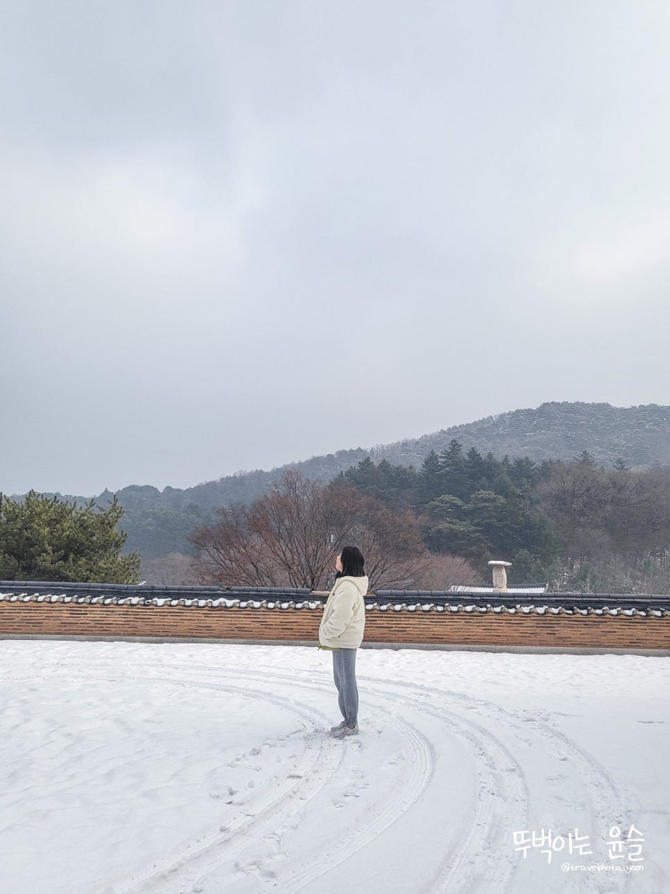 올스테이인 이미지
