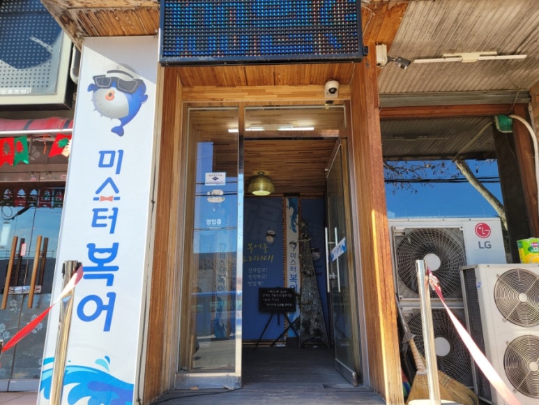 미스터복어 이미지