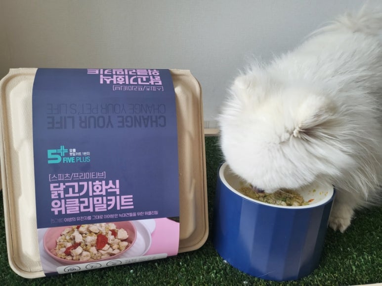위클리밀 이미지