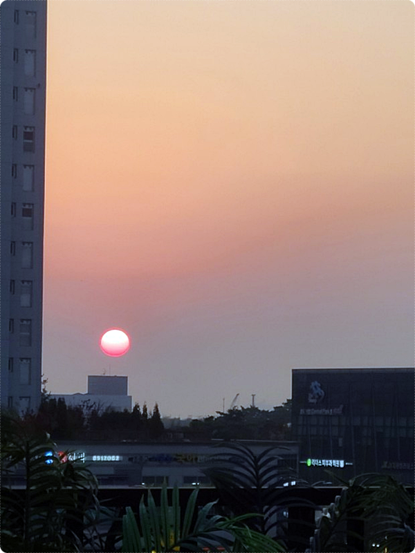 풀사이드228 이미지