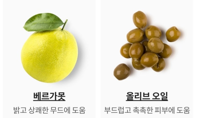 이솝 브랜치 이미지