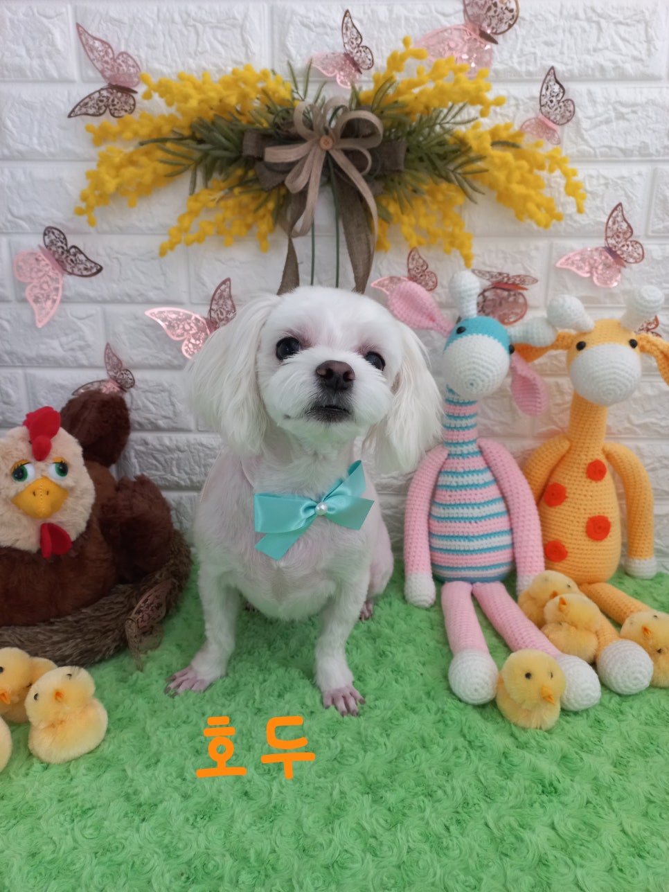 미용타운 이미지