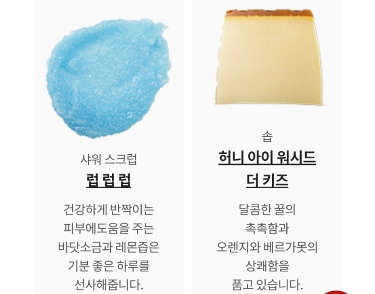 이솝 브랜치 이미지