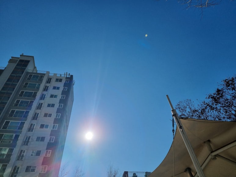 샘과 그늘 이미지