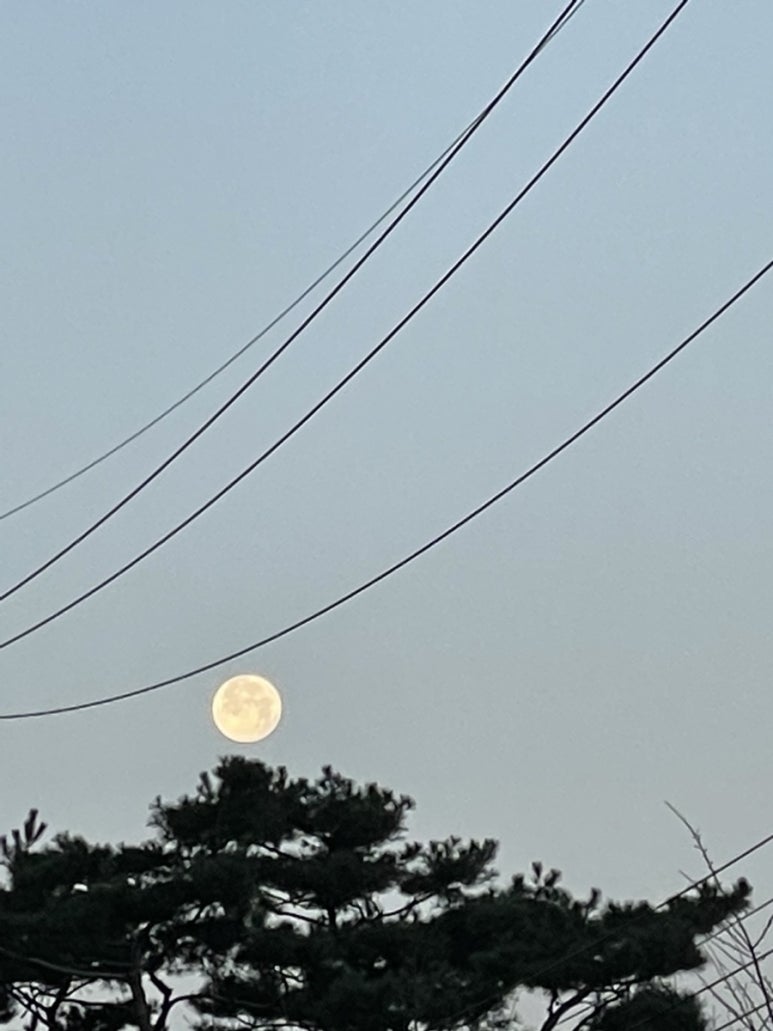 고기싸롱 간석점 이미지