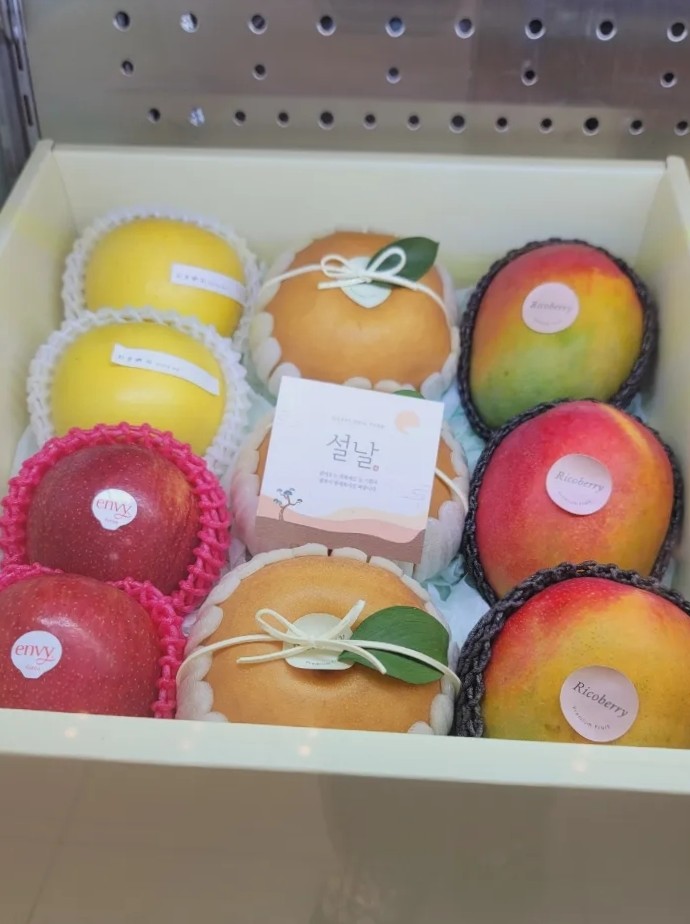 리코베리 이미지
