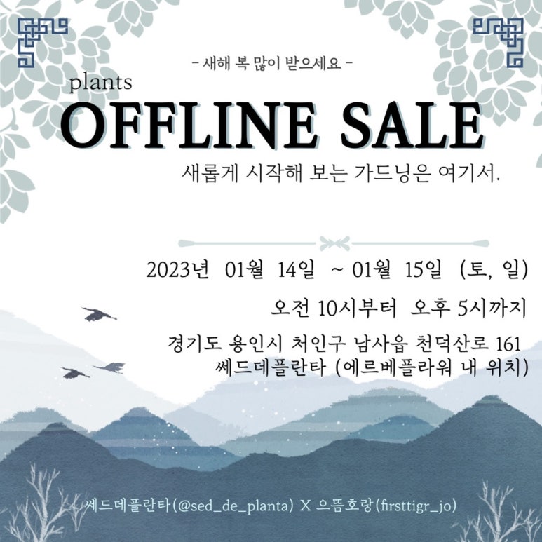 쎄드데플란타 이미지
