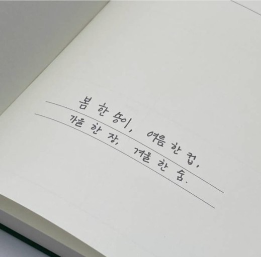 내칭구노래 이미지