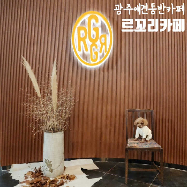 르꼬리카페 이미지
