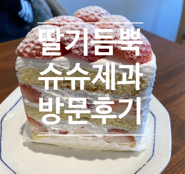 슈슈제과 이미지