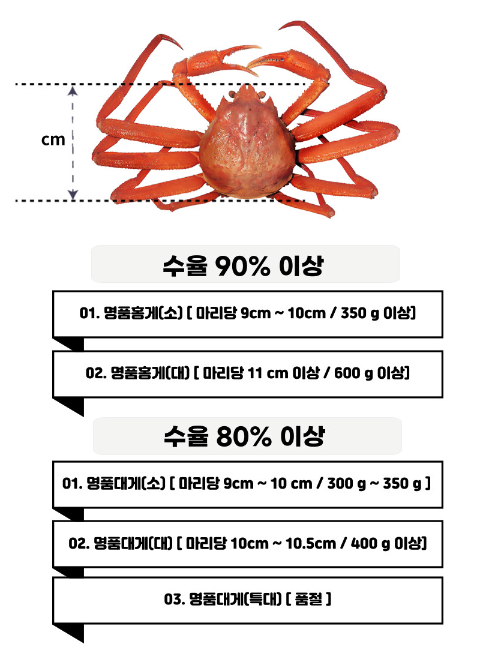 뚱보수산 이미지