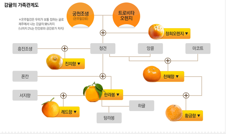 원두막과일 이미지