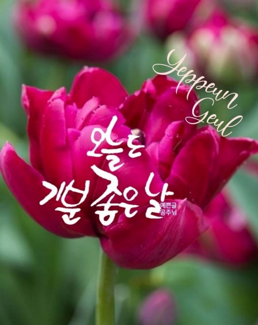 우리한우365 이미지