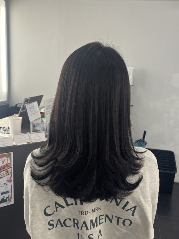 다루헤어 이미지