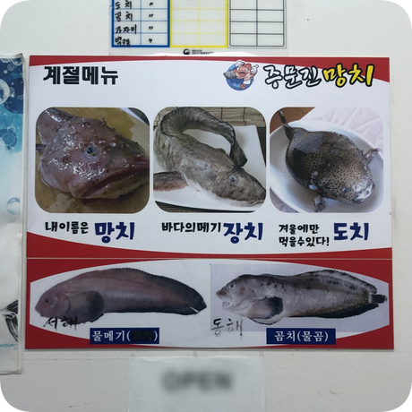주문진망치 이미지