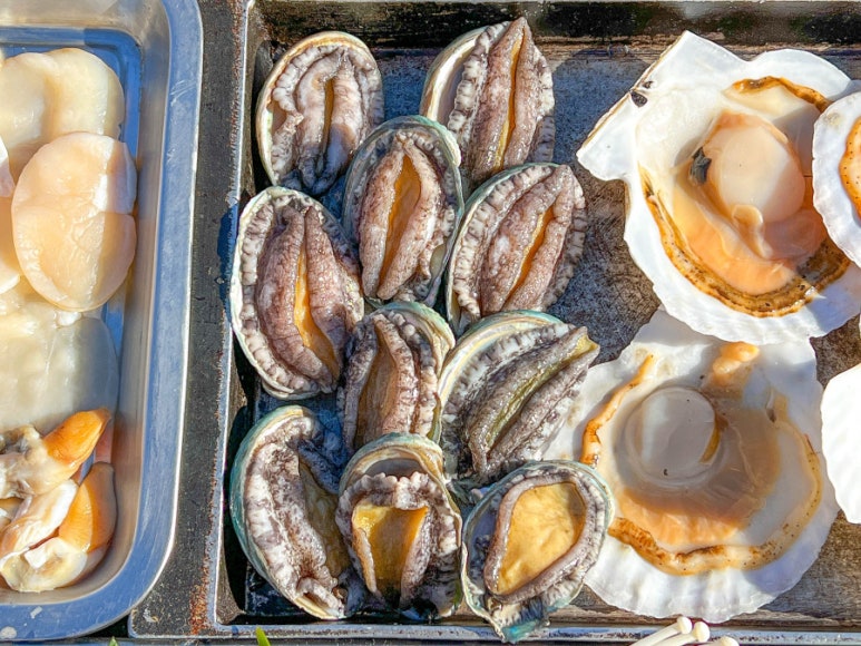 배창고 이미지