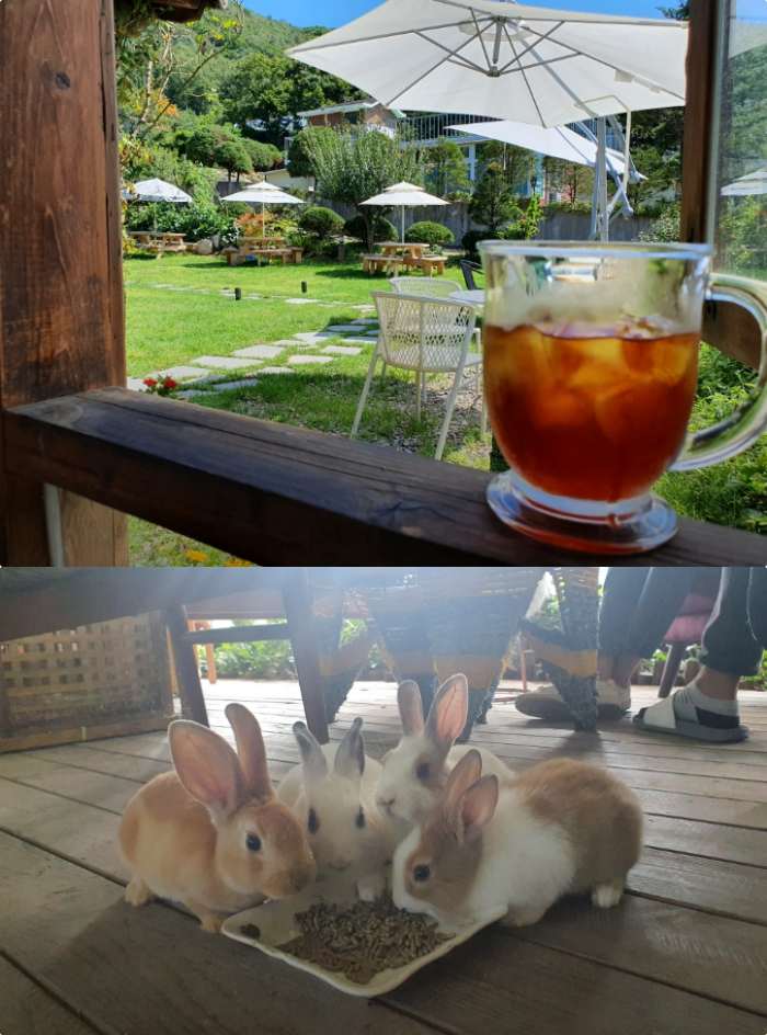 라벤더하우스 이미지