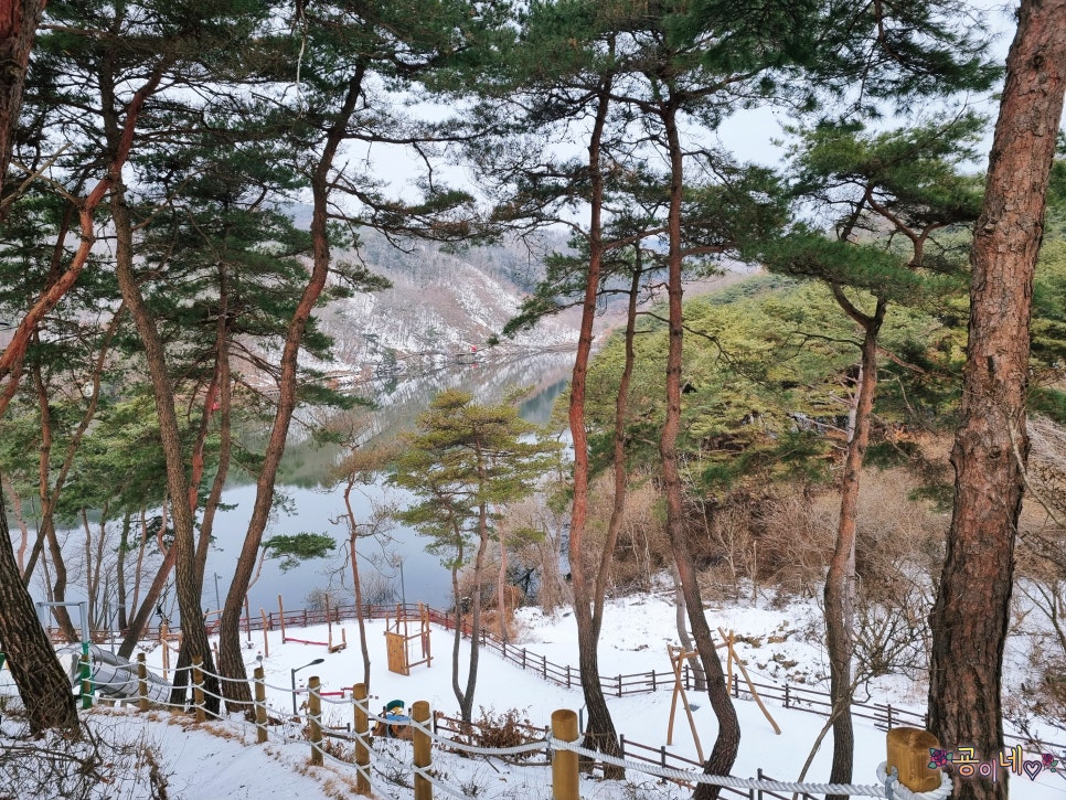 부여 유아숲체험원 이미지