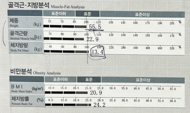 바디트레이닝미 이미지
