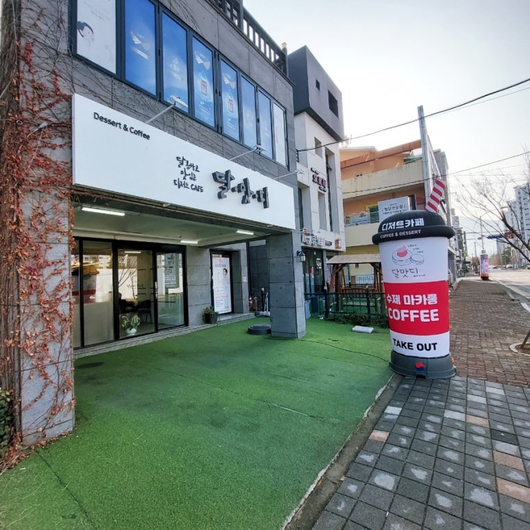 달맛디 이미지
