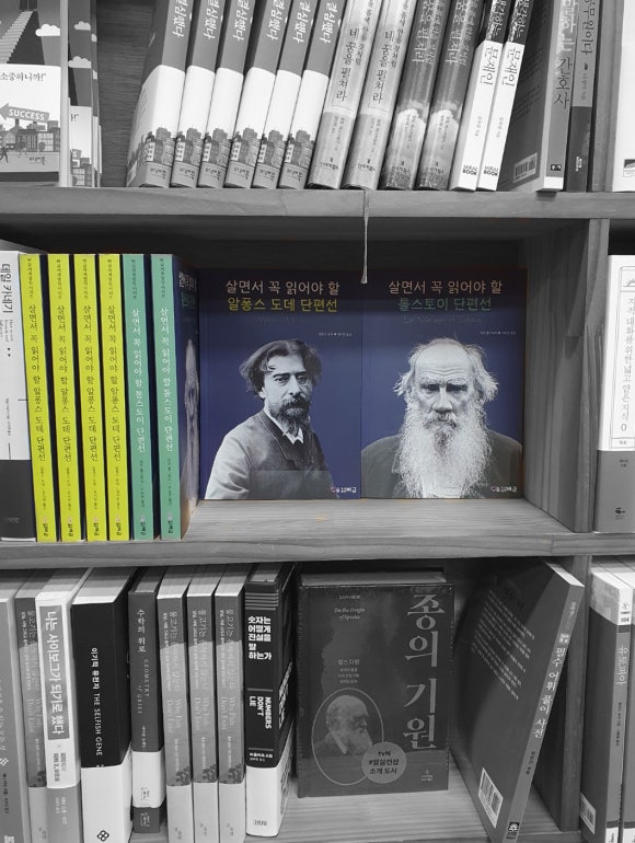 태백서점 이미지