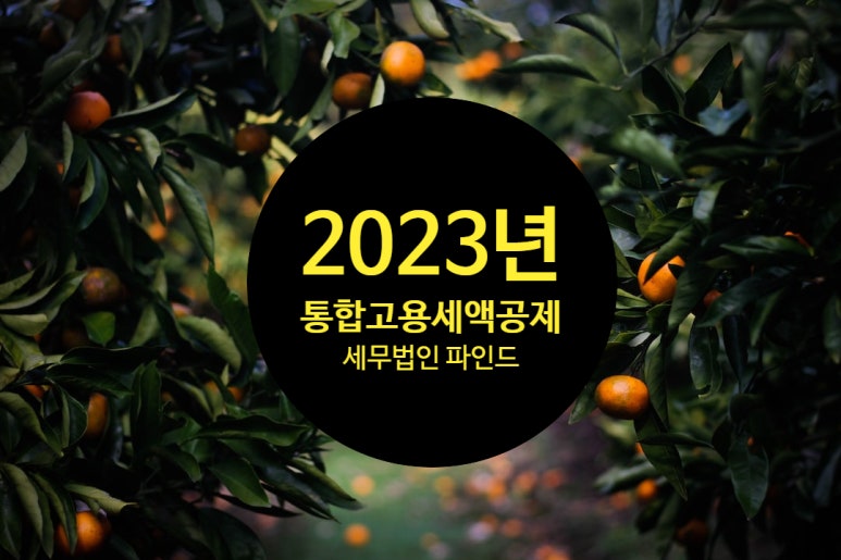 세무법인파인드 이미지