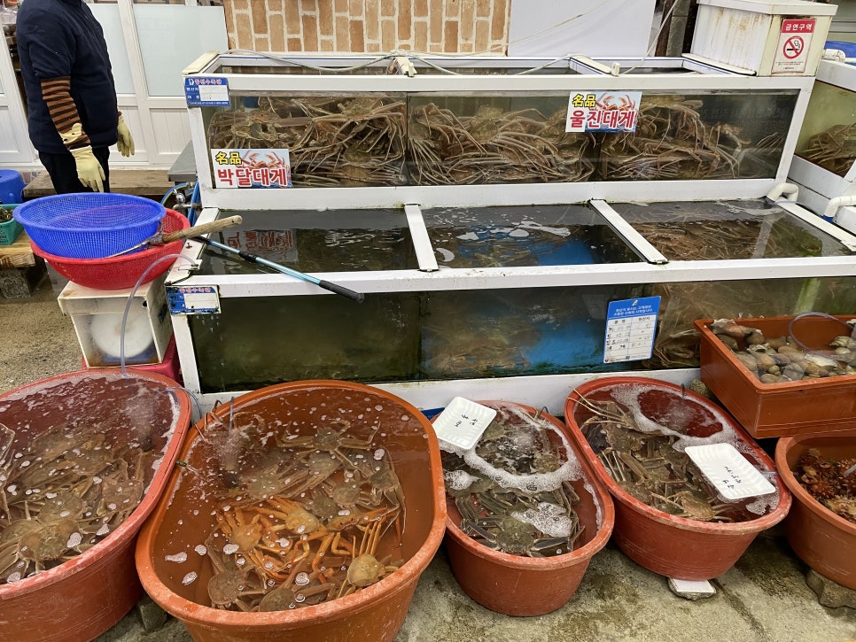 큰바다대게회식당 이미지