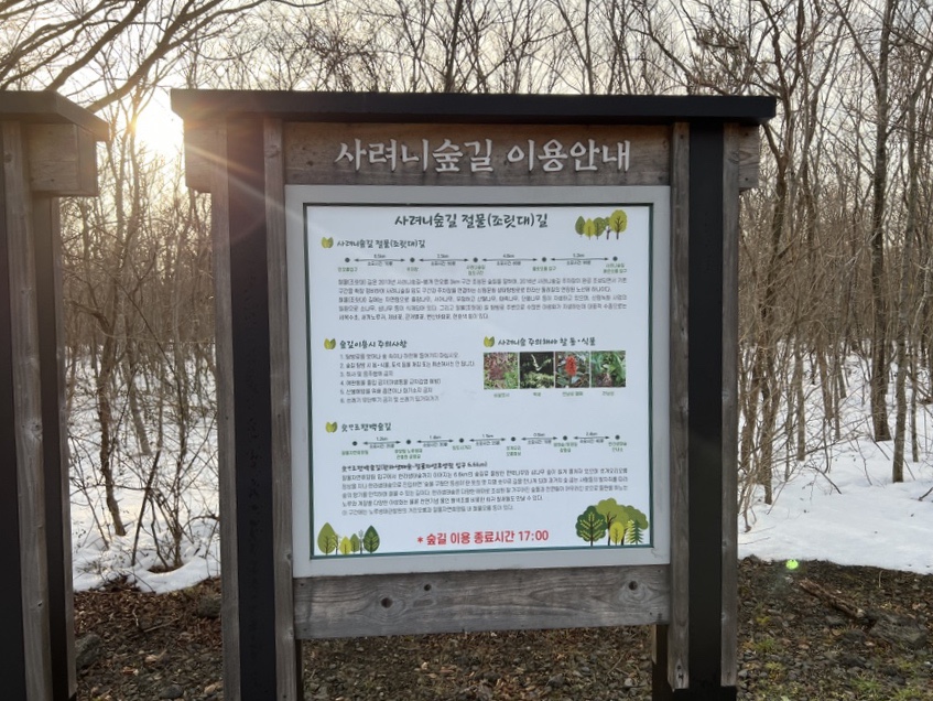 조성꽃순이 이미지