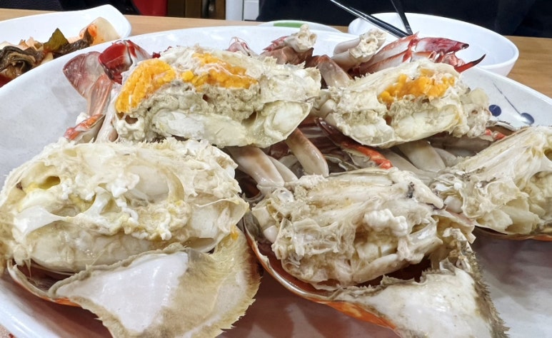 조아해낙지 이미지