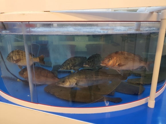 해동수산 이미지