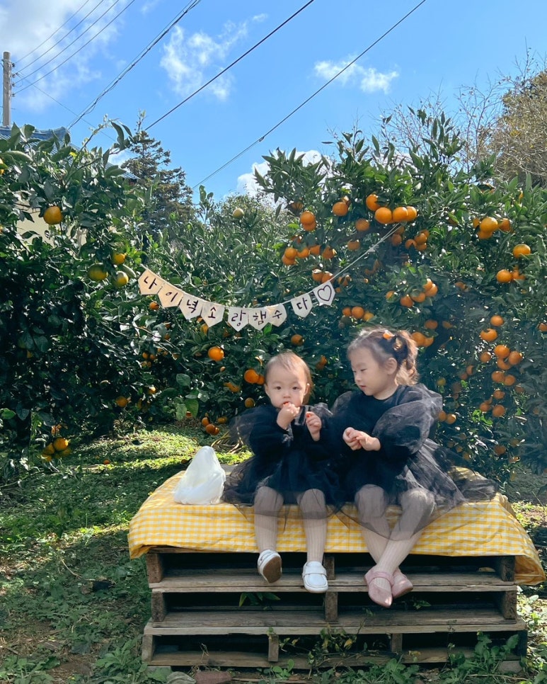 바이토산 이미지