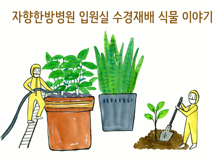 자향한방 이미지