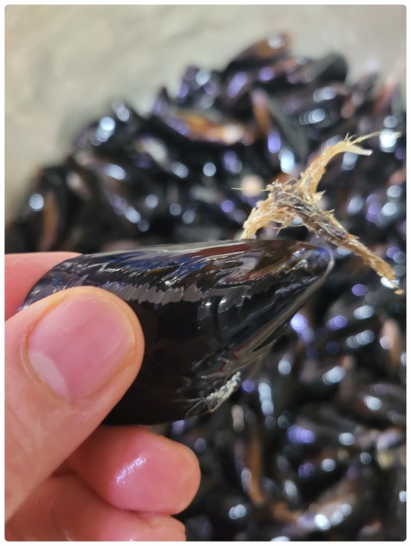 진동사거리식당 이미지