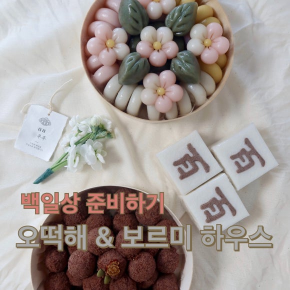 보르미하우스 이미지