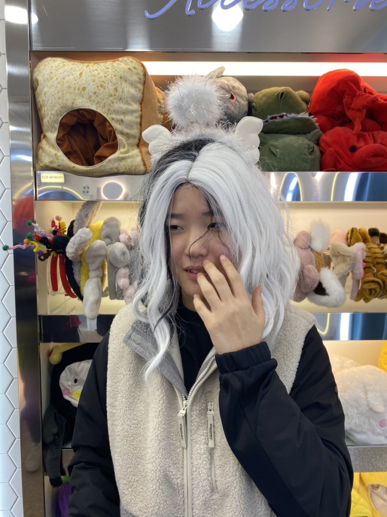 야시디팡 이미지